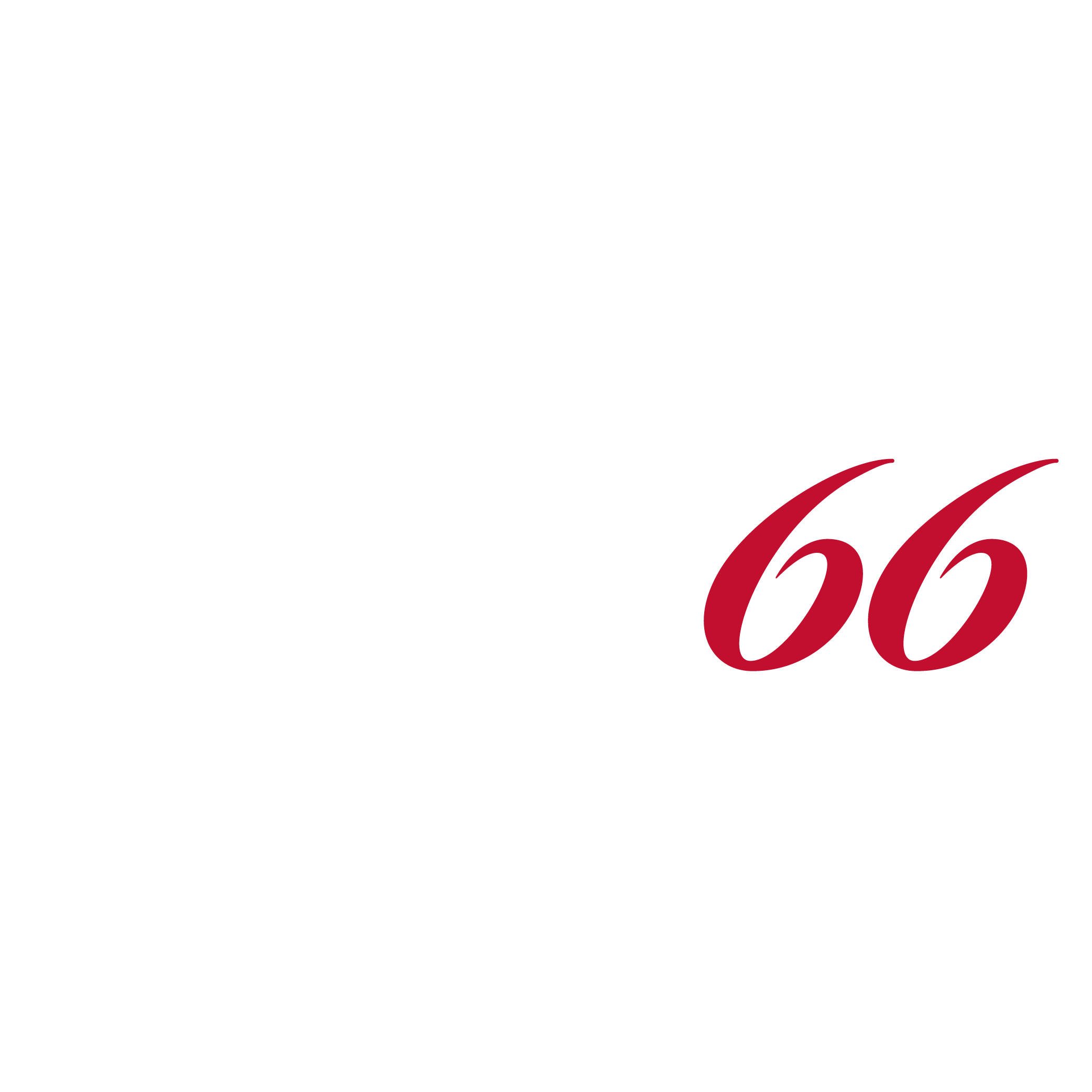 Bud66 Blanco