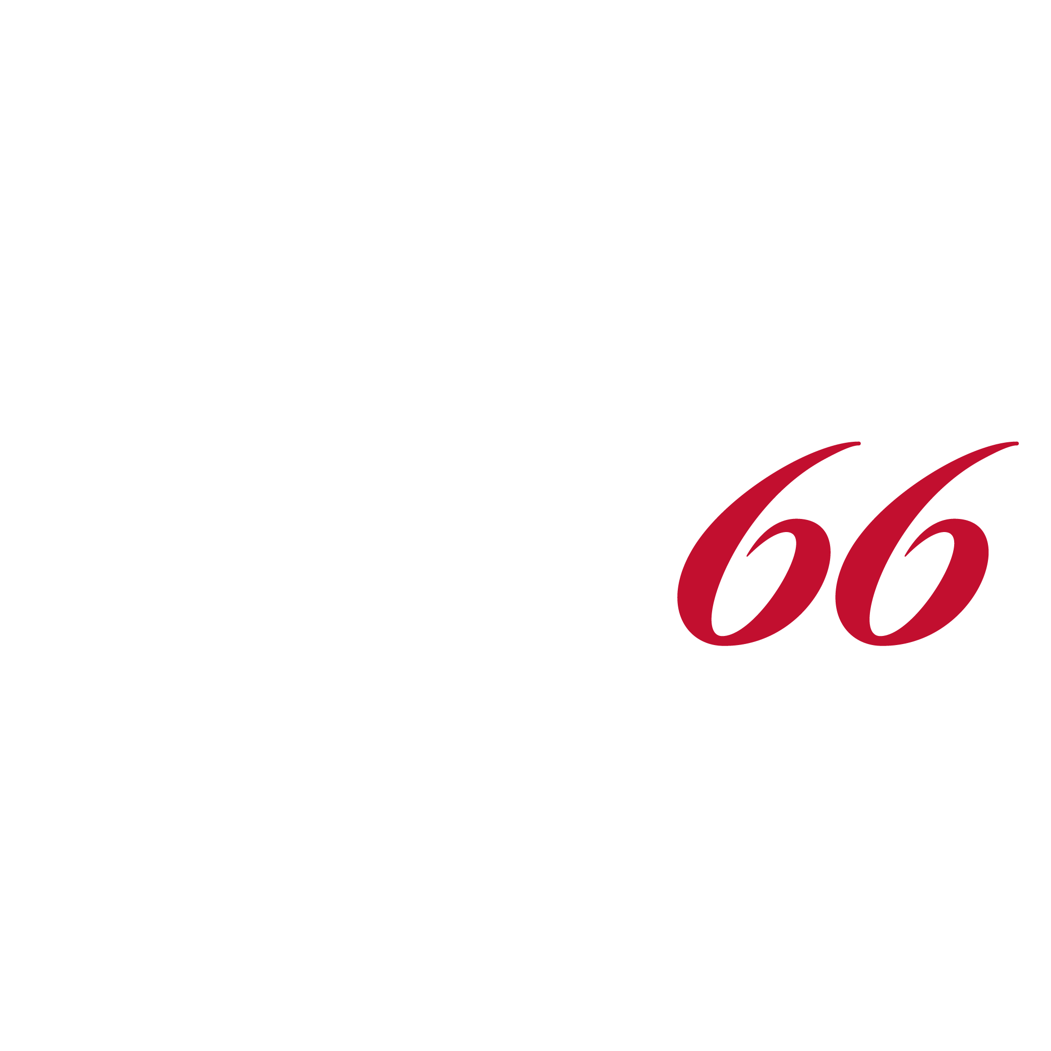 Bud66 Blanco